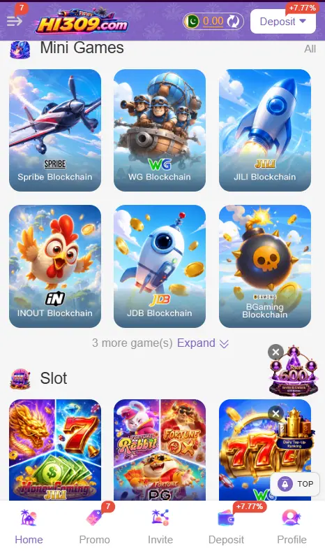HI309 Game