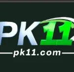 Pk11 Game